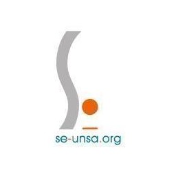 logo de se-unsa